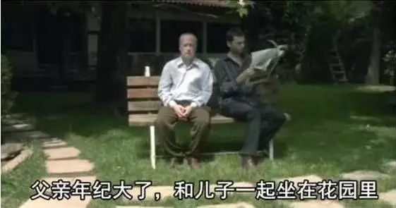 一只麻雀的故事（看了三遍还想看，太感人了）