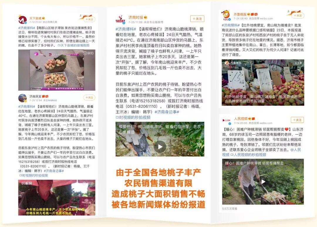 



紧急求助！陕西1000万斤好桃面临滞销,19.9元/10斤顺丰包邮!请大家帮忙转发助力,不要让老农们血本无归！
