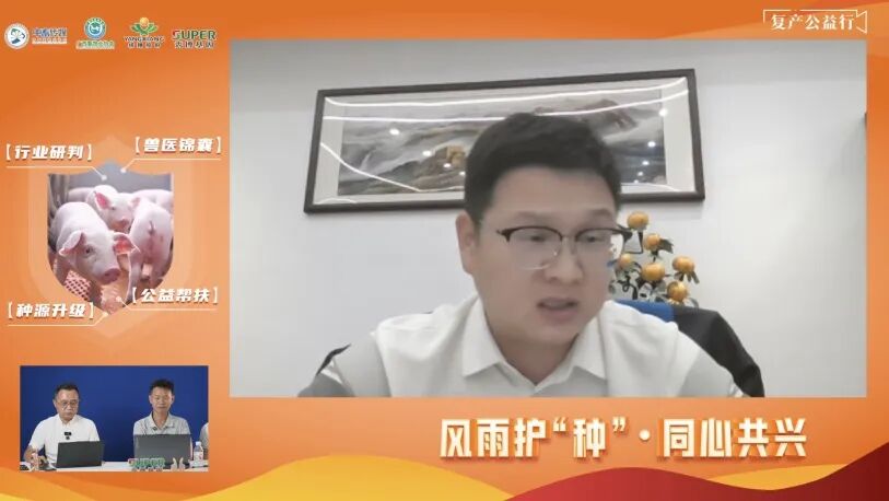 风雨护“种”·同心共兴——受灾猪场种源复苏公益直播周圆满完成