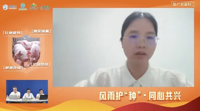 风雨护“种”·同心共兴——受灾猪场种源复苏公益直播周圆满完成