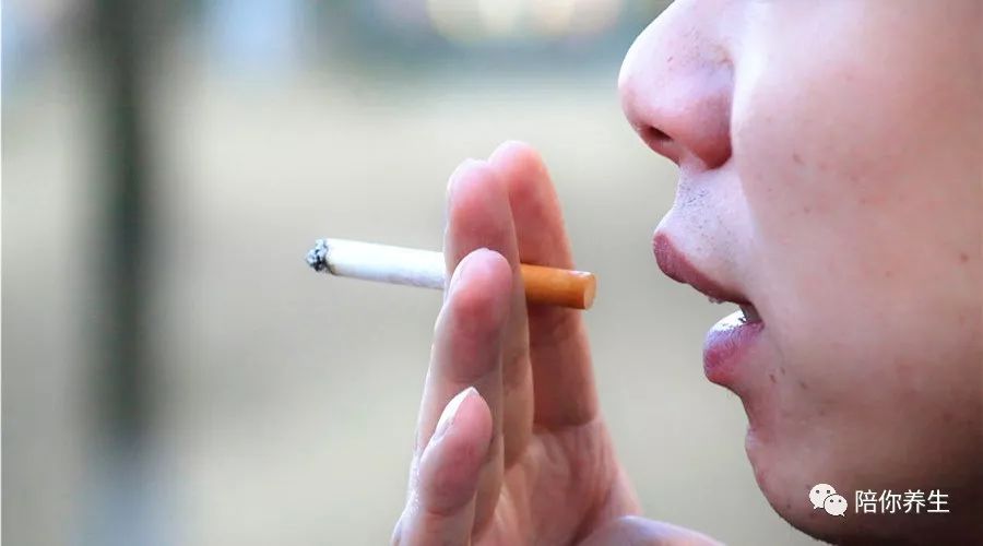 為什麼有些人經常抽煙不得肺癌 卻依然會長壽呢 未分類 第2張