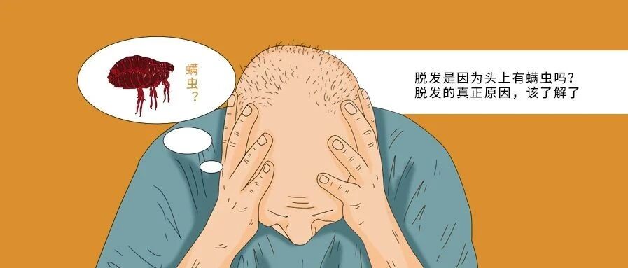 脱发是因为头上有螨虫吗？脱发的真正原因，该了解了
