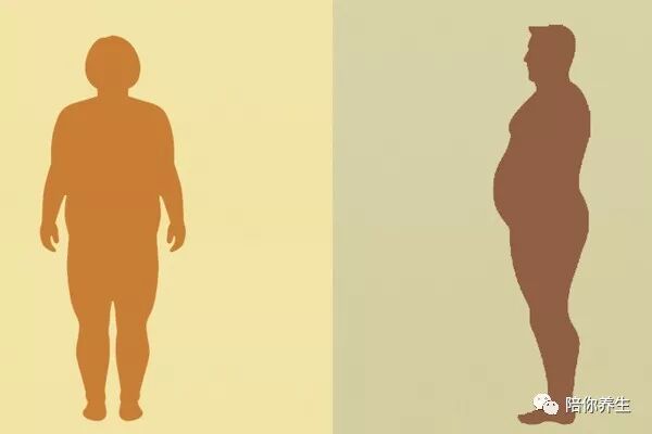 为何男人先胖肚子 女人先胖腰和屁股
