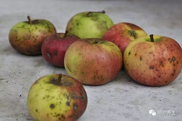 聪明人为什么不买这8类食物 原来真相是这些