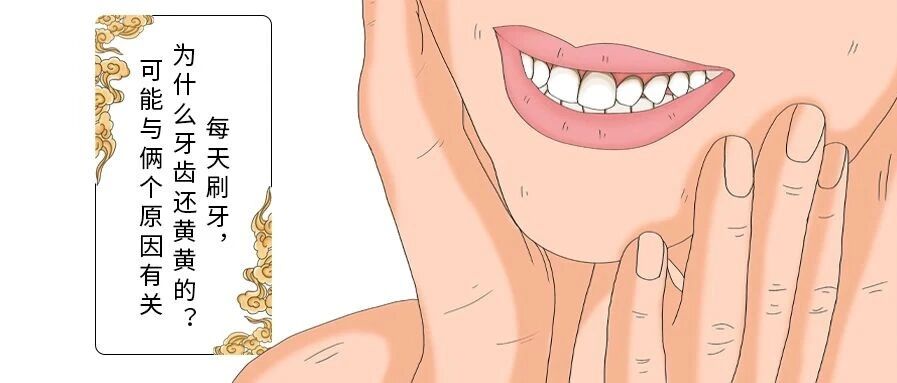 每天刷牙，为什么牙齿还黄黄的？可能与2个原因有关