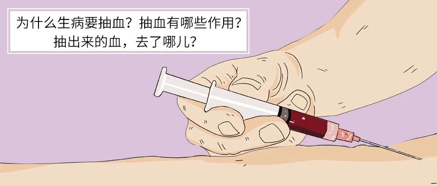 为什么生病要抽血？抽出来的血，去了哪儿？