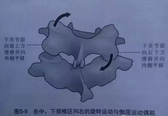 頸椎咔咔響,手腳發麻要注意 頸椎咔咔響,手腳發麻要注意