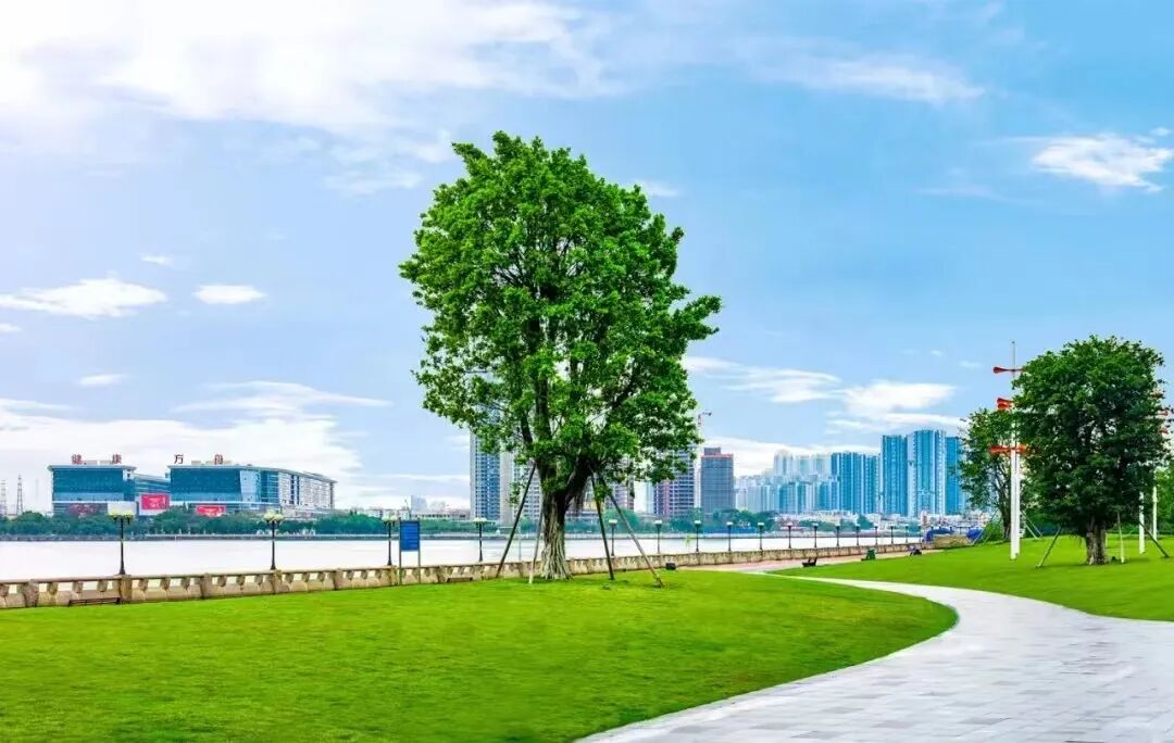 800-1000万！在天河和海珠！可以选择的楼盘！