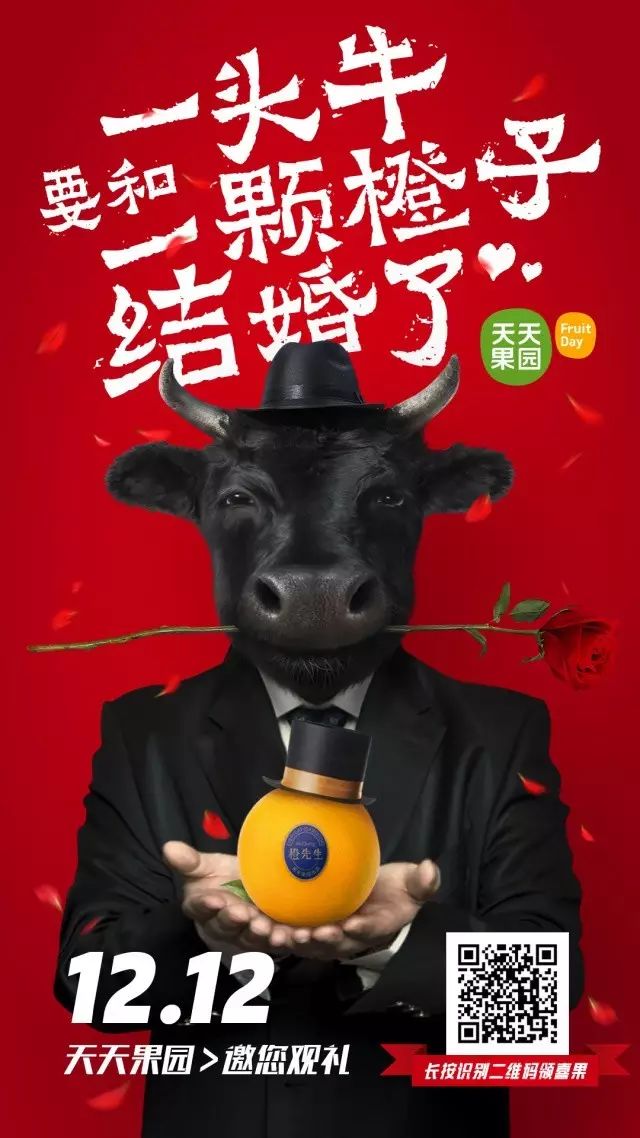 沒征過婚的人不知道人生有多複雜
