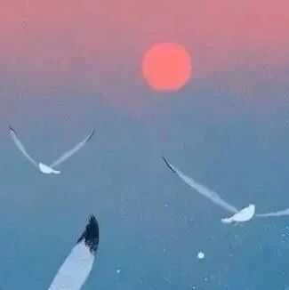 半称心！（深度好文）