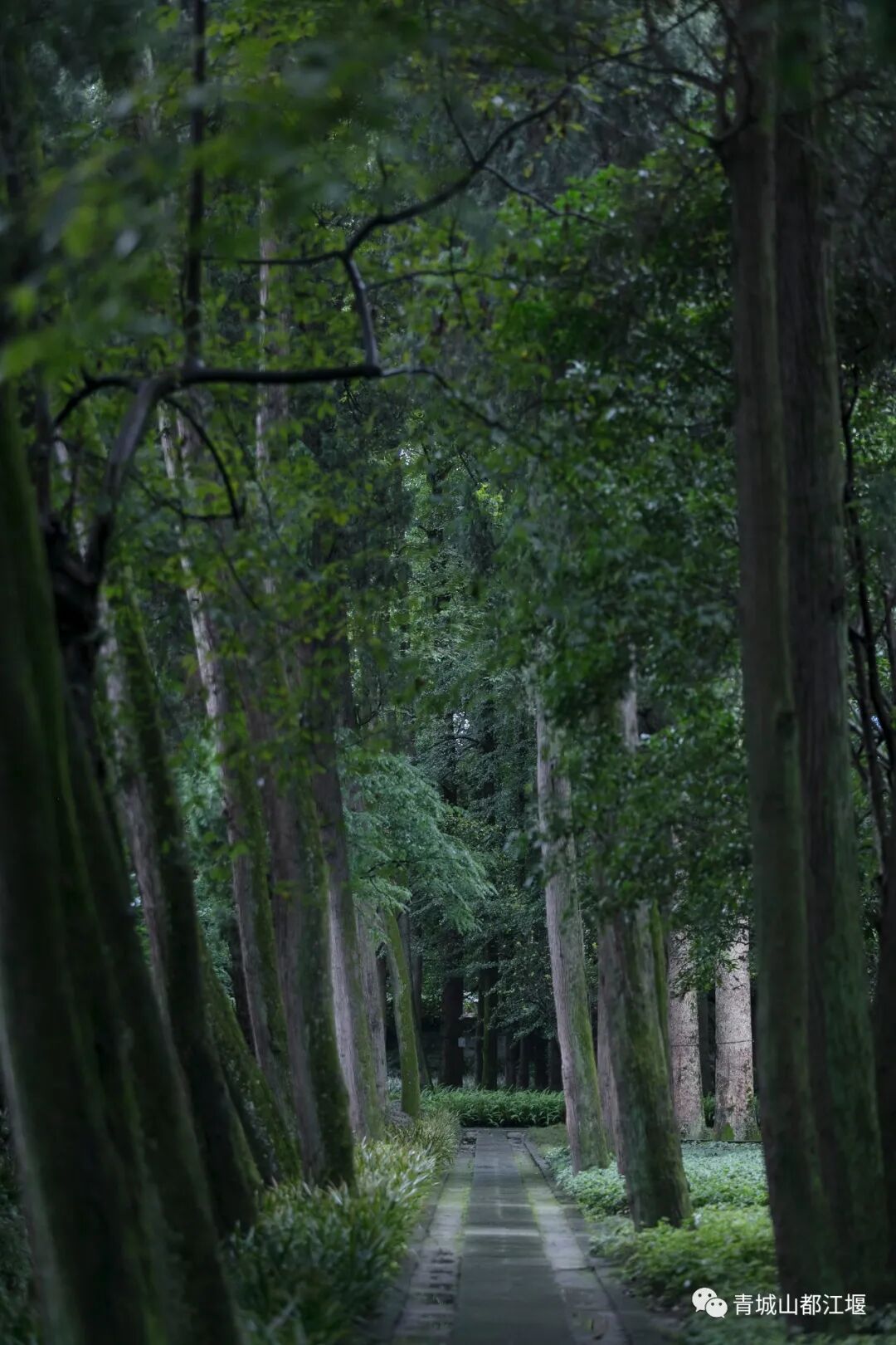 都江堰玉垒山门票_都江堰玉垒山_玉垒山