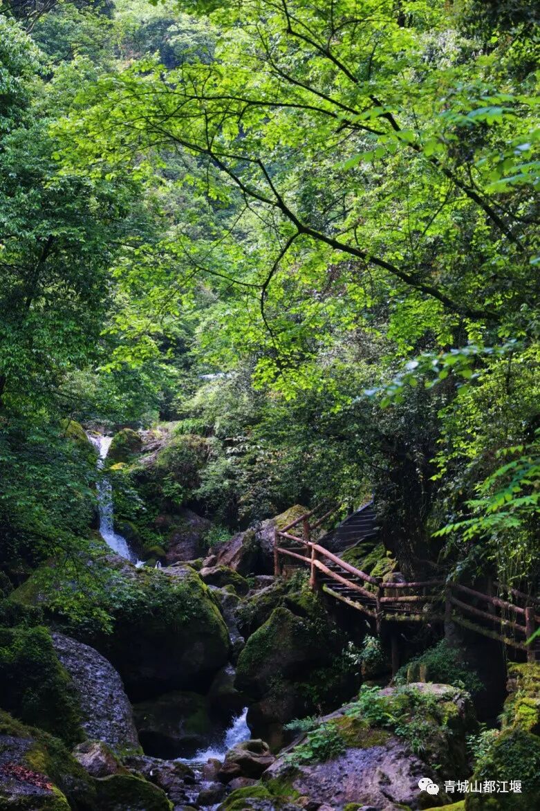 玉垒山 不用远行！成都出发1h，直达青城山都江堰这2个清凉无限的夏日好去处