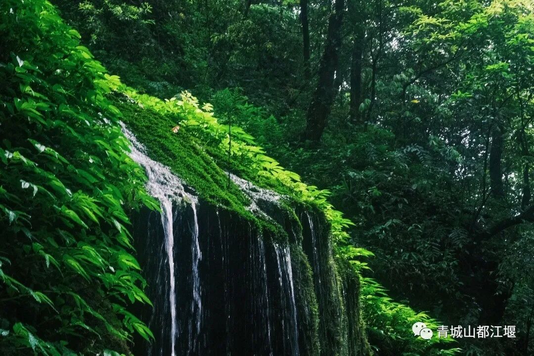 都江堰玉垒山门票_玉垒山_都江堰玉垒山