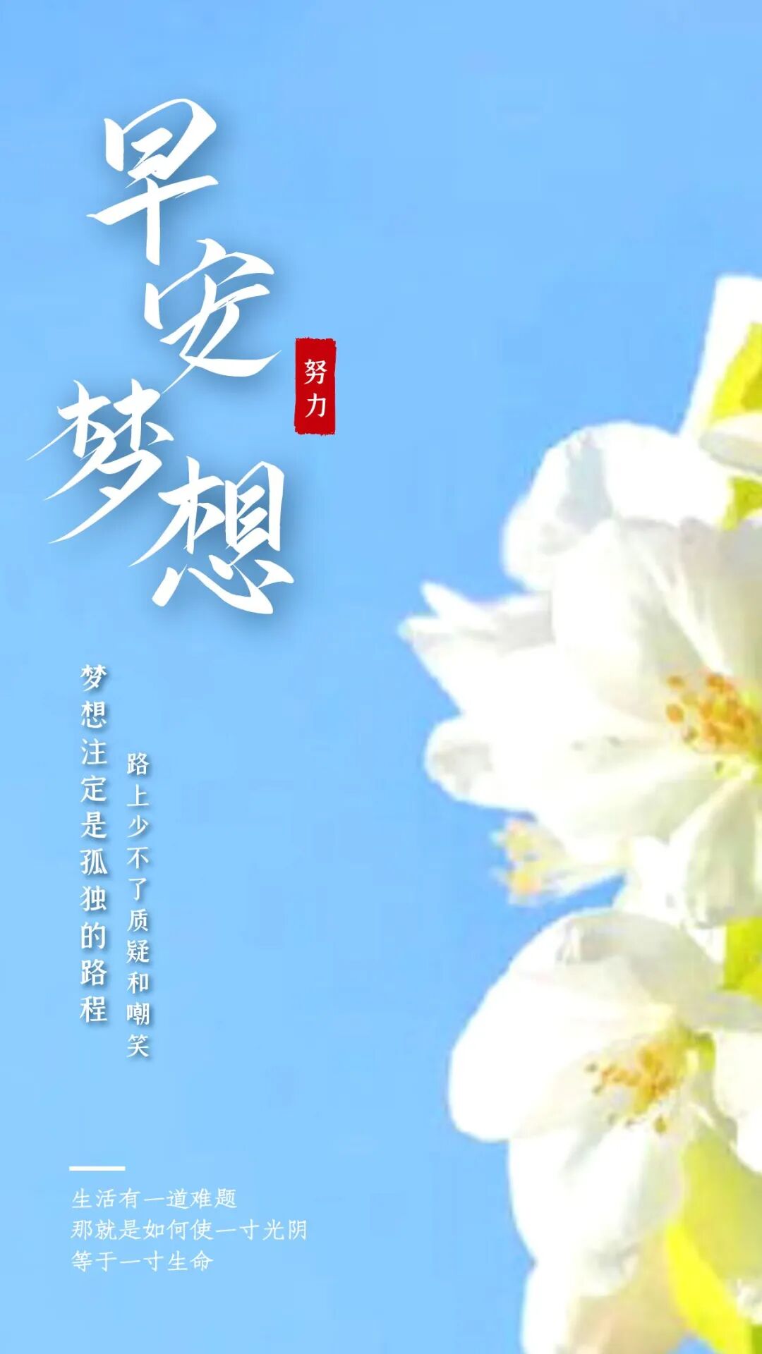 敞开心怀的早安语录正能量句子笑对流年的早上好问候语