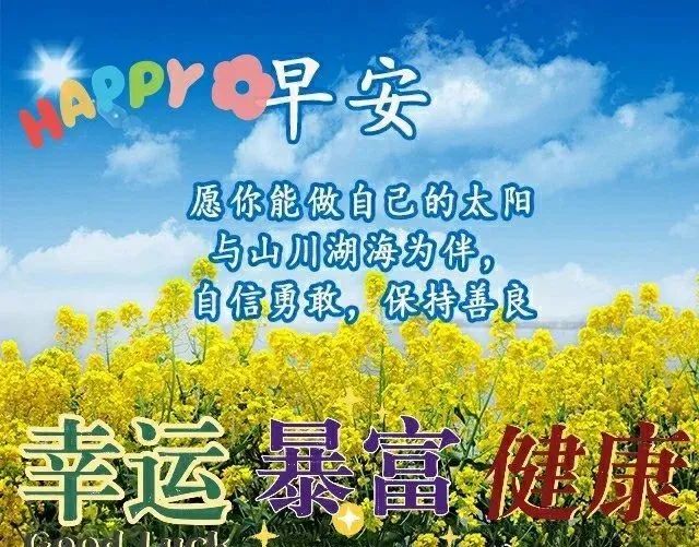 6月29日早上好 每日问候 清晨问候祝福语 微信公众号文章 微小领