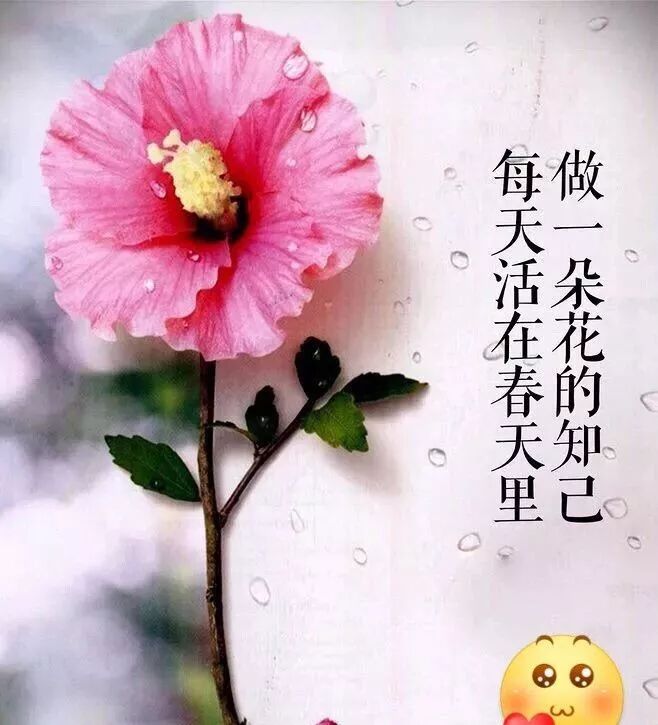一段很精彩的正能量话 早安语录正能量励志句子 微信公众号文章阅读 Wemp