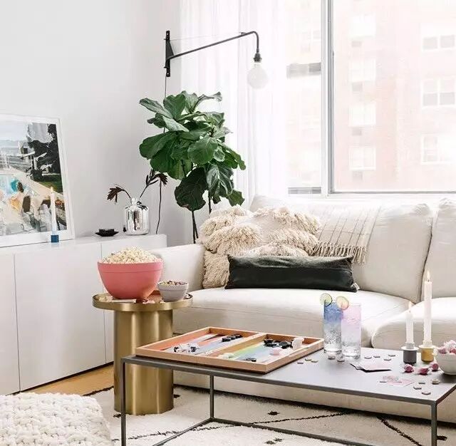 金皮苹果在哪买_买苹果7plus还是苹果8_买黄金买足金还是硬金