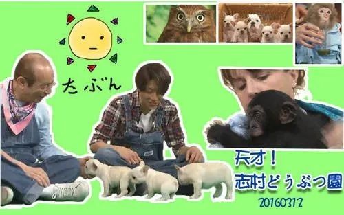 日本70歲喜劇天王志村健去世，「新冠」對演藝圈的沖擊真不小 娛樂 第6張