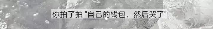 「求求別在微信拍一拍了！我tm笑到炸裂哈哈哈哈哈哈！」 寵物 第35張