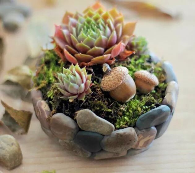 路边的石头捡回家 随手diy改造一下 花盆 碗垫 都不用买了 编织很简单 微信公众号文章阅读 Wemp