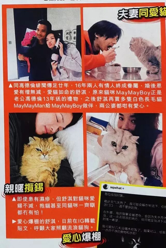 舒淇湿疹再度恶化，戴口罩帽子遮面现身自家面店，生儿育女恐无期- 八卦 