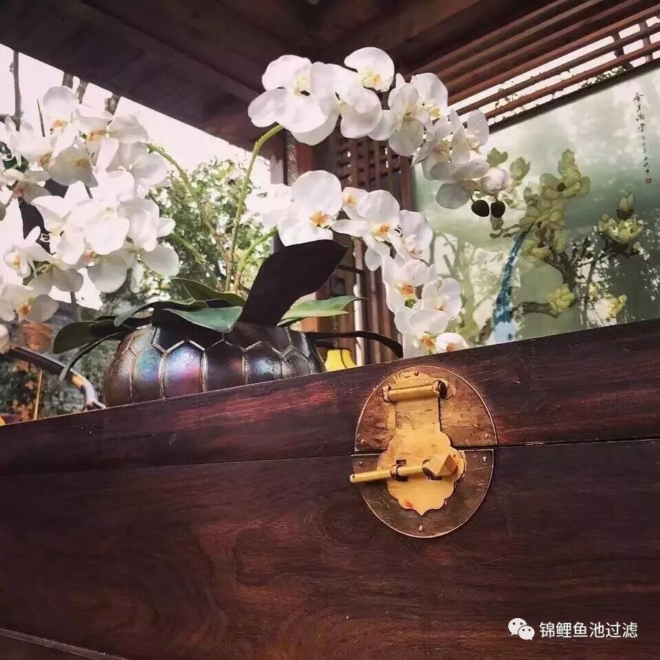 中国风--价值5亿的房子是什么样的?