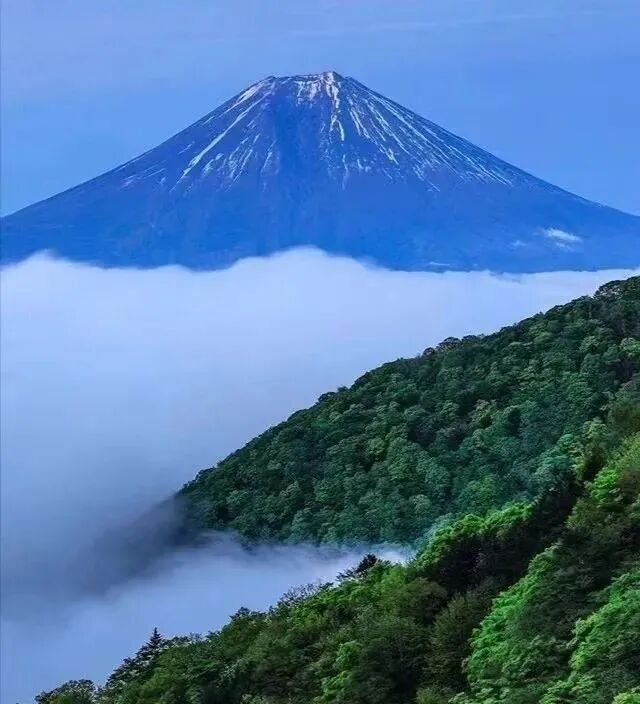 日本护照连续5年蝉联全球最强护照！