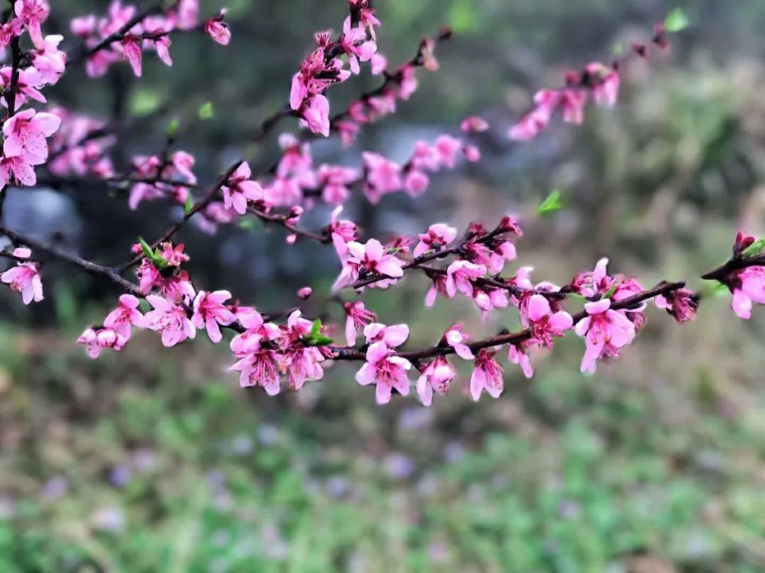 幾年前，那個花83元窮遊西藏的姑娘，後來怎麼樣了... 旅遊 第15張