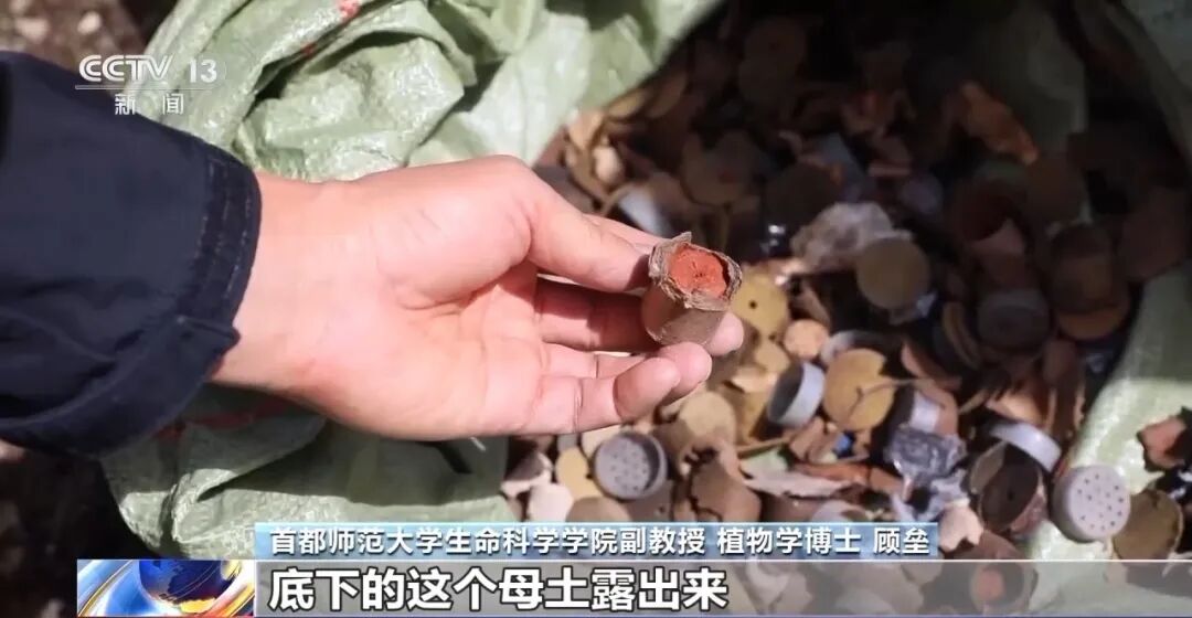 现场还有烟花秀痕迹