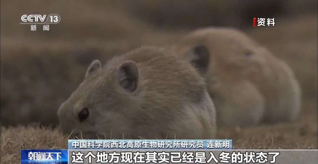 现场还有烟花秀痕迹