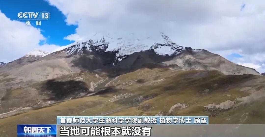 现场还有烟花秀痕迹