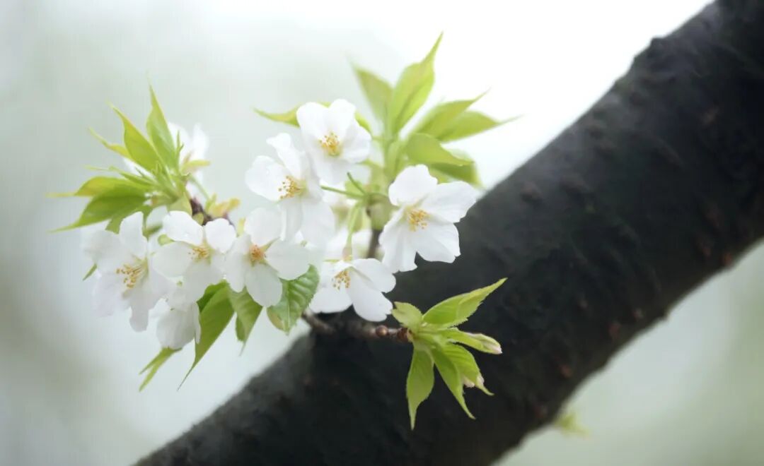 锦观快看看这是不是你想要的3月