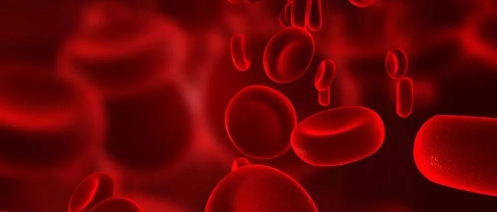 都知道“三高”，第四高、第五高、第六高、第七高都是啥？怎么办？