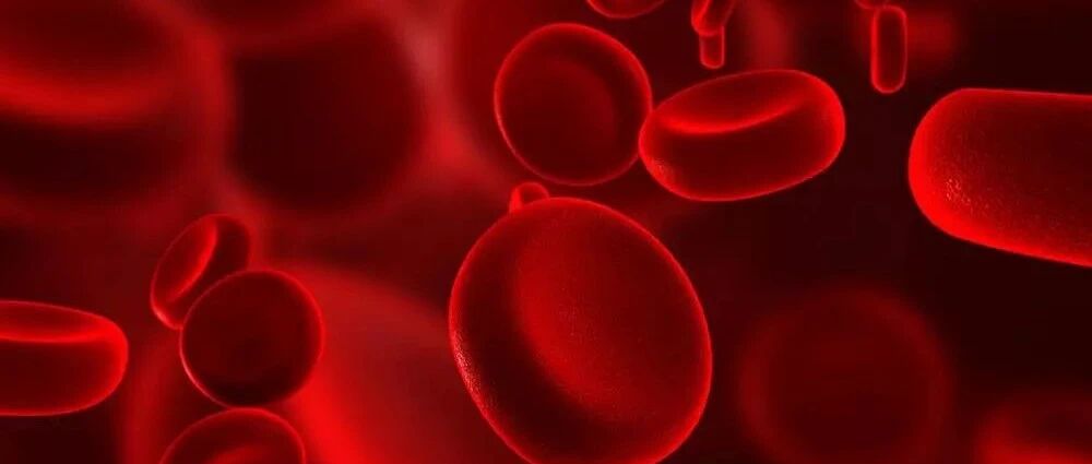 颈动脉斑块有什么危险？对身体有哪些伤害？