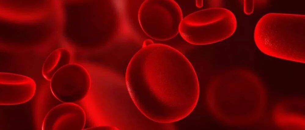 化验发现血粘度增高咋办？