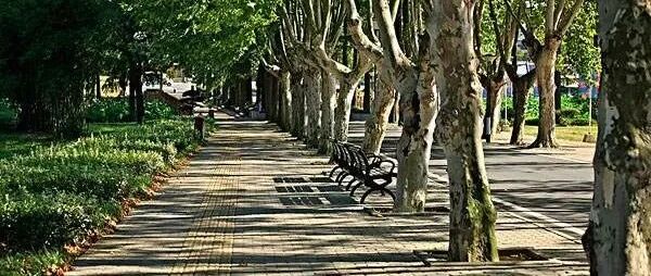 【写给“三高”的人】运动三个月，你的身体会有哪些变化？