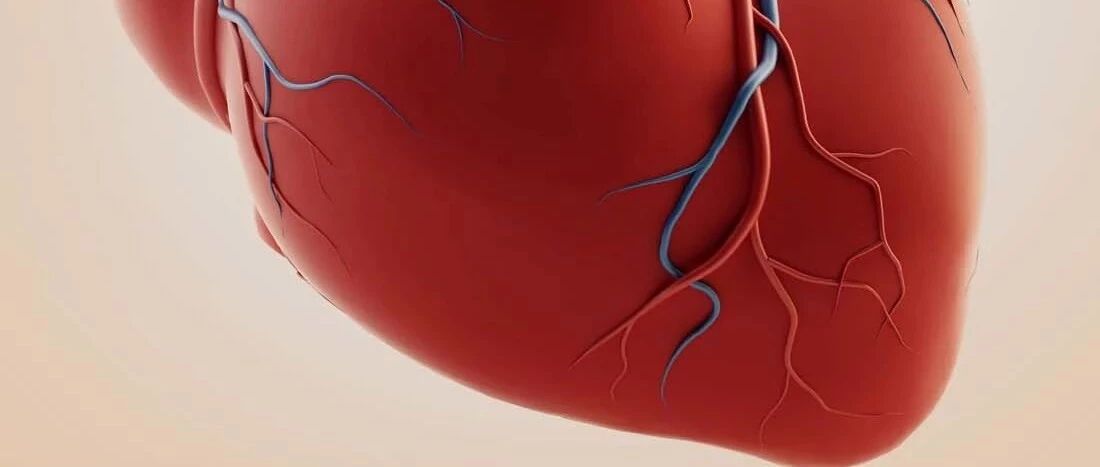 心脏健康的八要素！