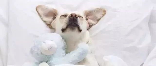 降血压，晚上的血压更需要关注！