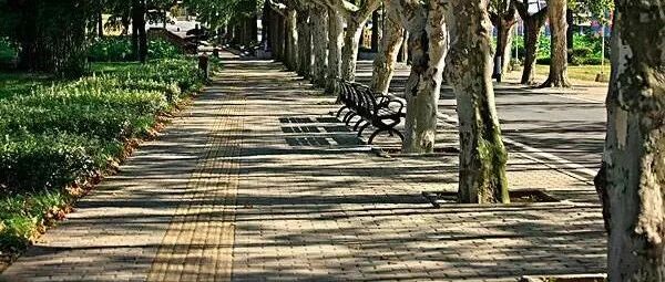 合并心血管病高危因素的T2DM患者是否应该及早启动GLP-1与SGLT-2i治疗？