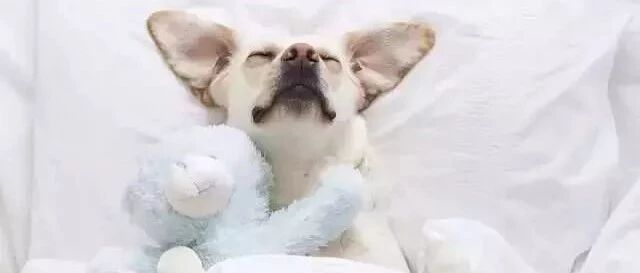 血压的低压高，咋办？