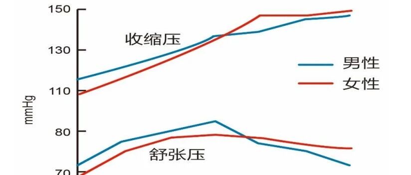 为什么老年人脉压差大？看这张图就明白了！