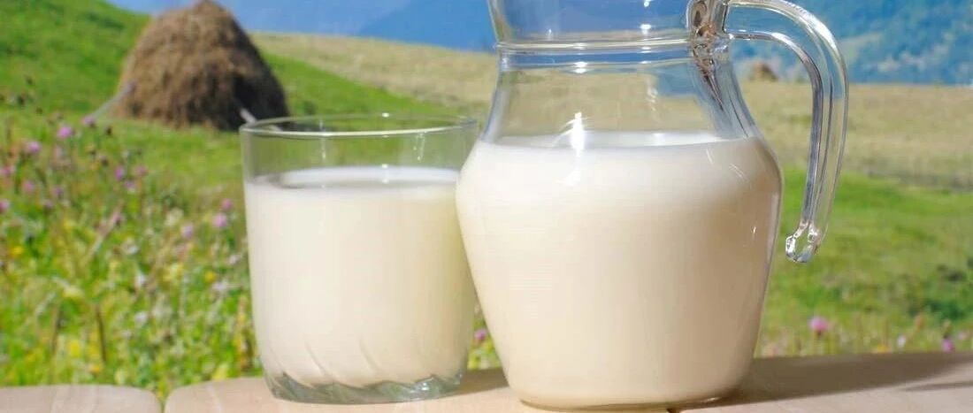 牛奶含胆固醇多吗？胆固醇高的人可以喝牛奶吗？