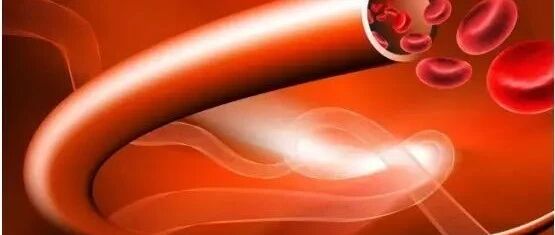 低密度脂蛋白3.4，我马上开始吃他汀！