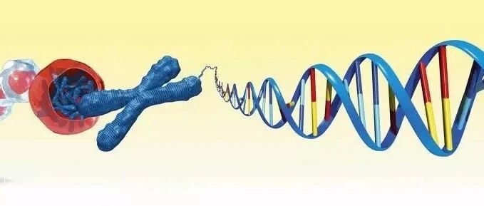 血糖超过多高就对身体有害了？