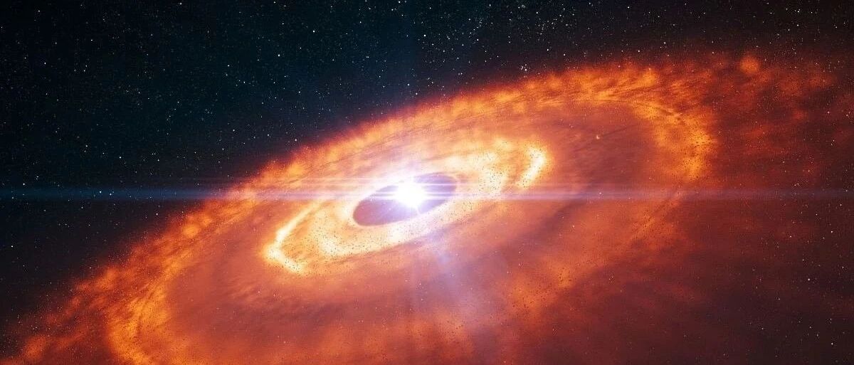 饮食特别清淡、也不胖，为什么还会甘油三酯增高？