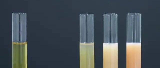 高血脂就是甘油三酯增高？错！