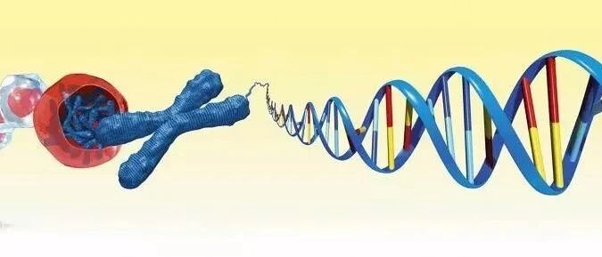 血脂化验单中脂蛋白(a)升高咋办？