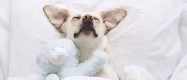 心脏病人吃什么可以营养心肌？