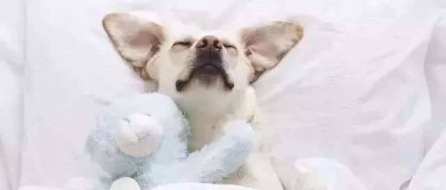 吃上阿司匹林或他汀之后需要化验血吗？