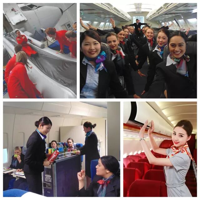 （求学新西兰）从幼儿园到大学，选择ACG教育集团，总有一款适合您